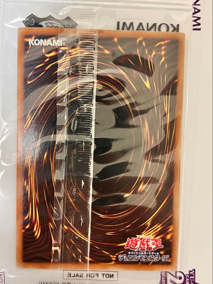 プロテインさま専用　ブラックマジシャン