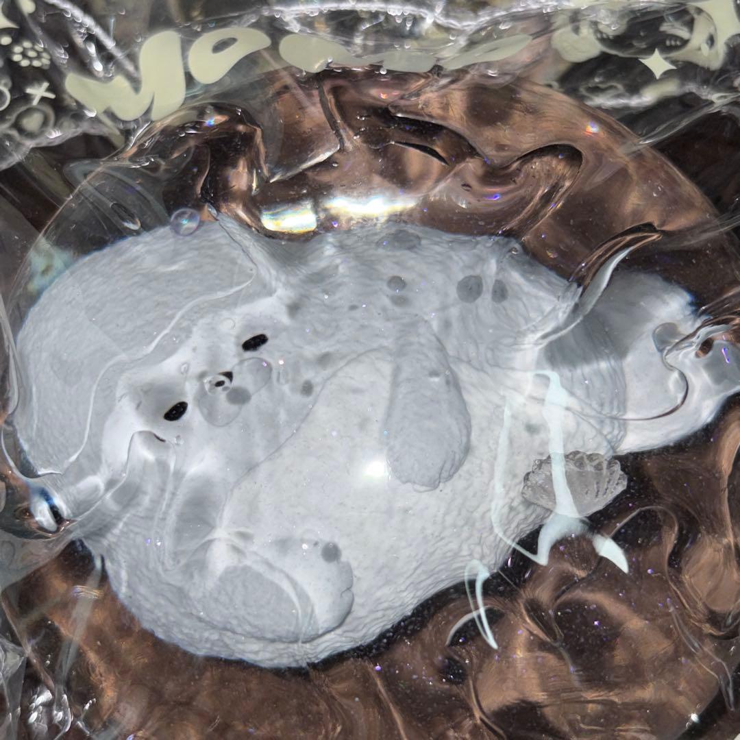 MoMo 海洋シリーズ 第3弾 シークレット アザラシ 2個 まとめ売り