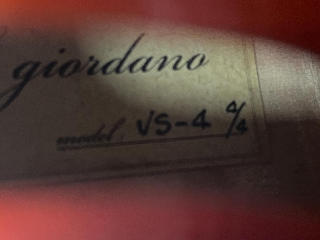 バイオリン Carlo giordano VS-4 4/4サイズ 美品！