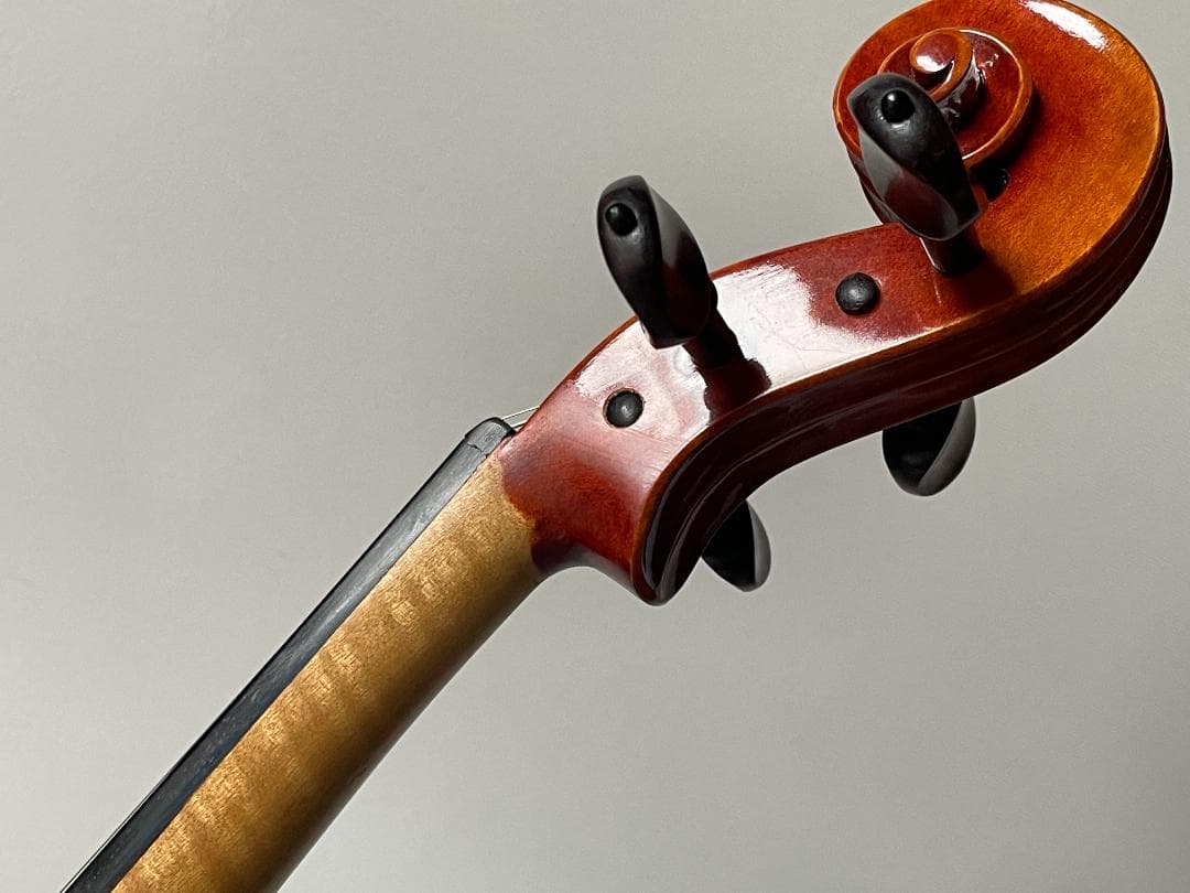 バイオリン Carlo giordano VS-4 4/4サイズ 美品！