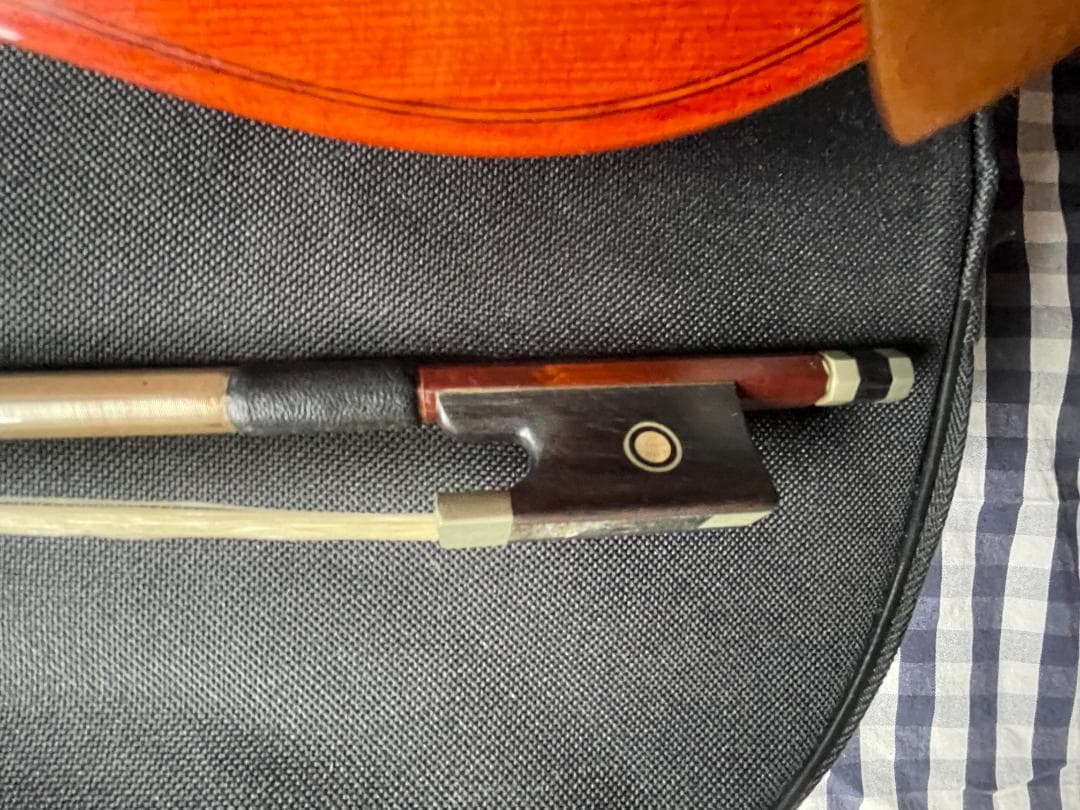 バイオリン Carlo giordano VS-4 4/4サイズ 美品！