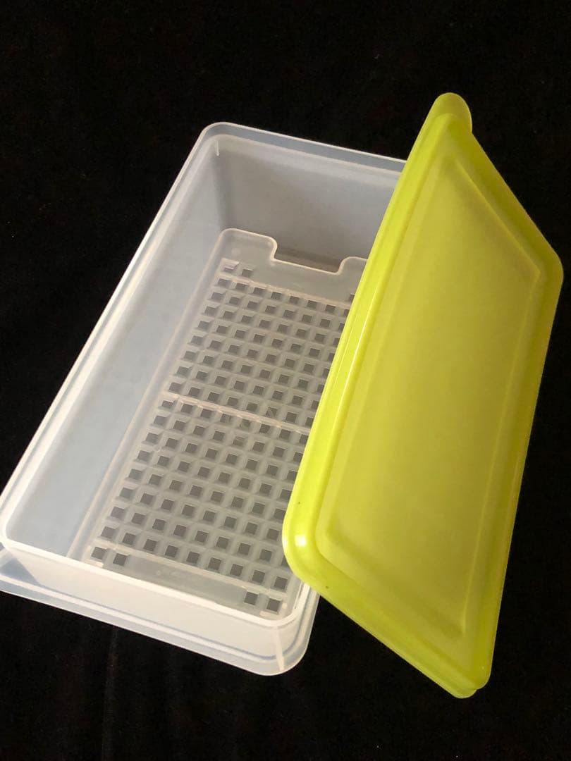 新品★ Tupperware SSセット2種 すのこ付