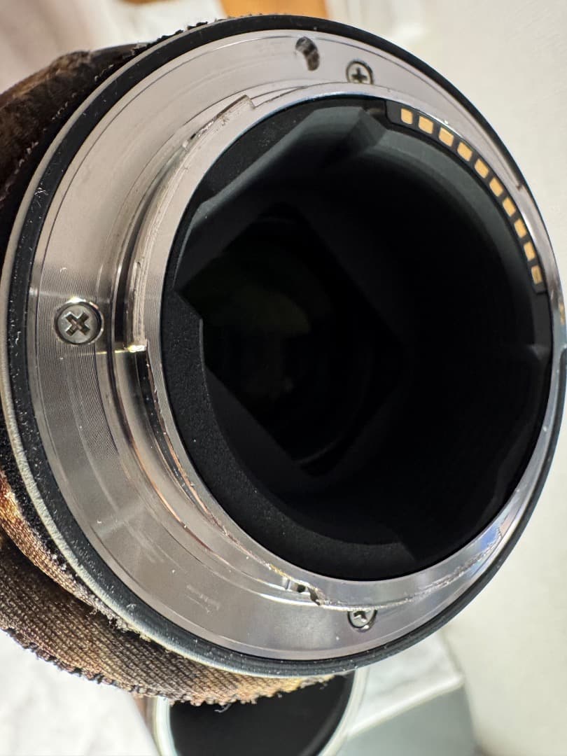 Sony FE 200-600mm F5.6-6.3 G OSS 点検済み