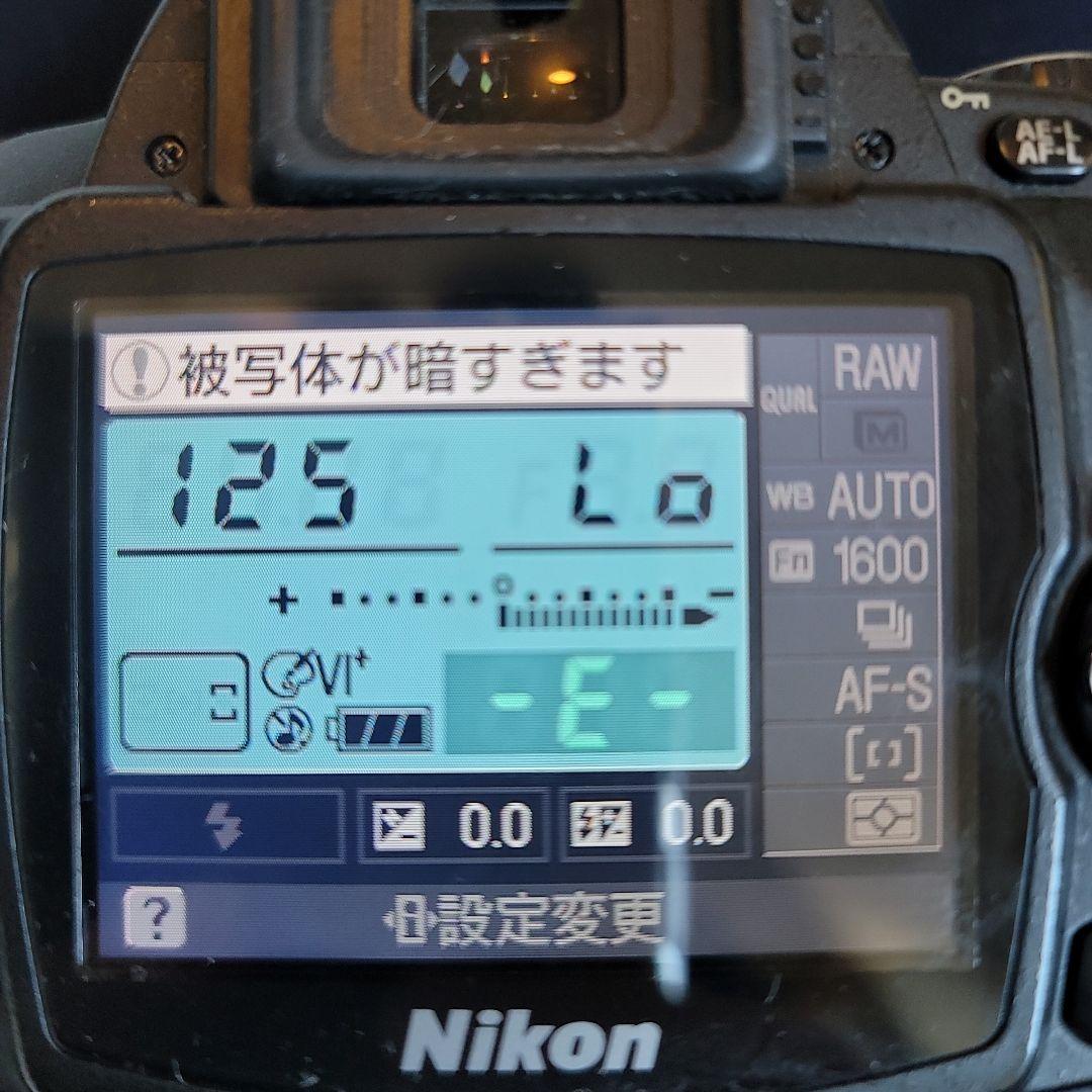 プロフ必読！　NIKON D40