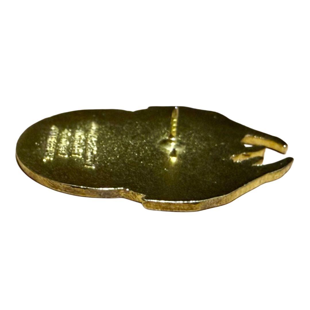 ポケモンセンター メガトウキョー 限定 ロゴピンズ リザードンY