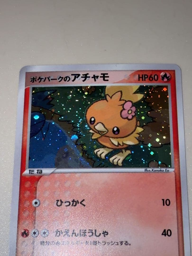 12/0496 ポケパークのアチャモ 002/009