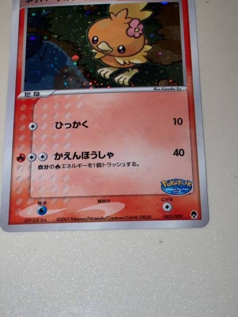 12/0496 ポケパークのアチャモ 002/009