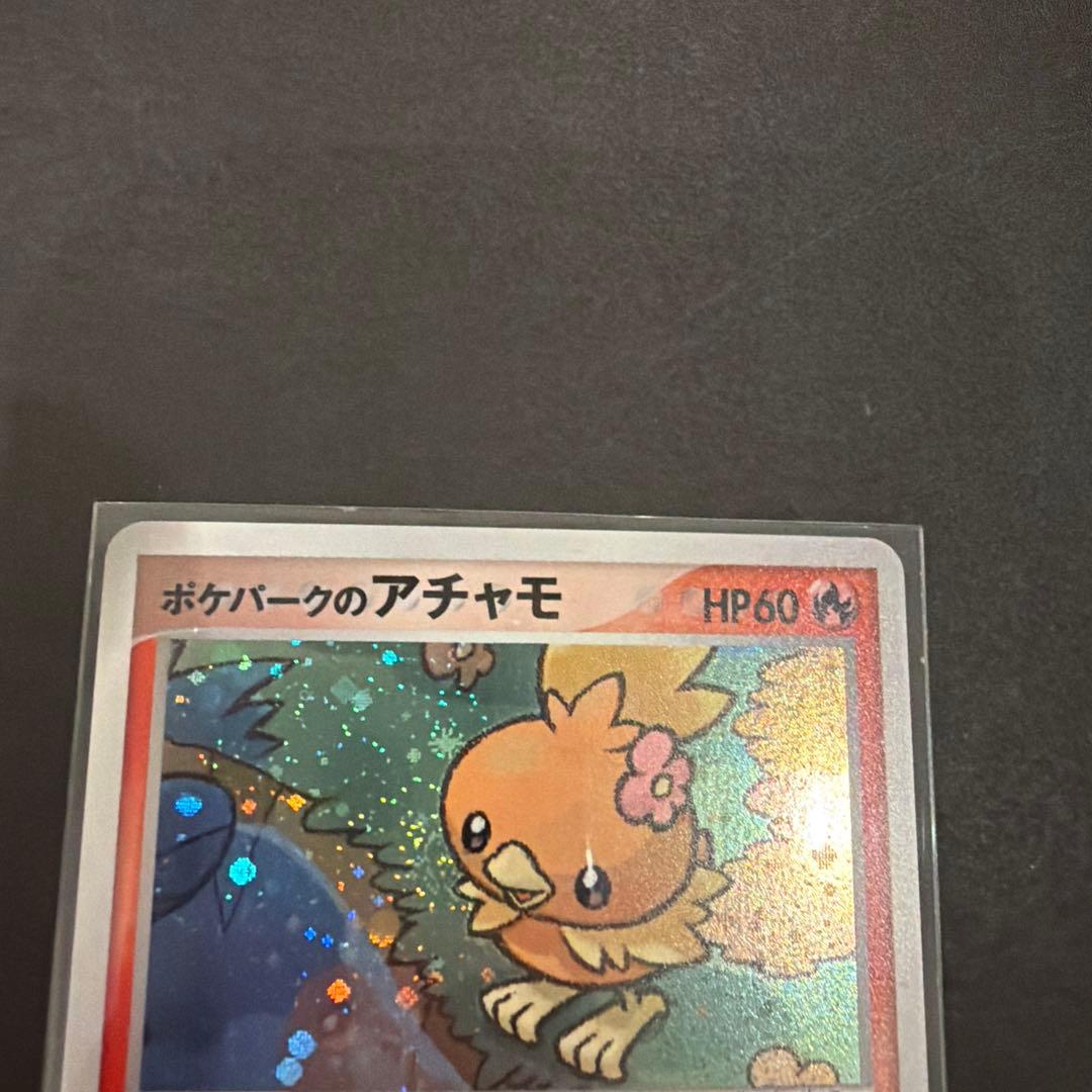 12/0496 ポケパークのアチャモ 002/009