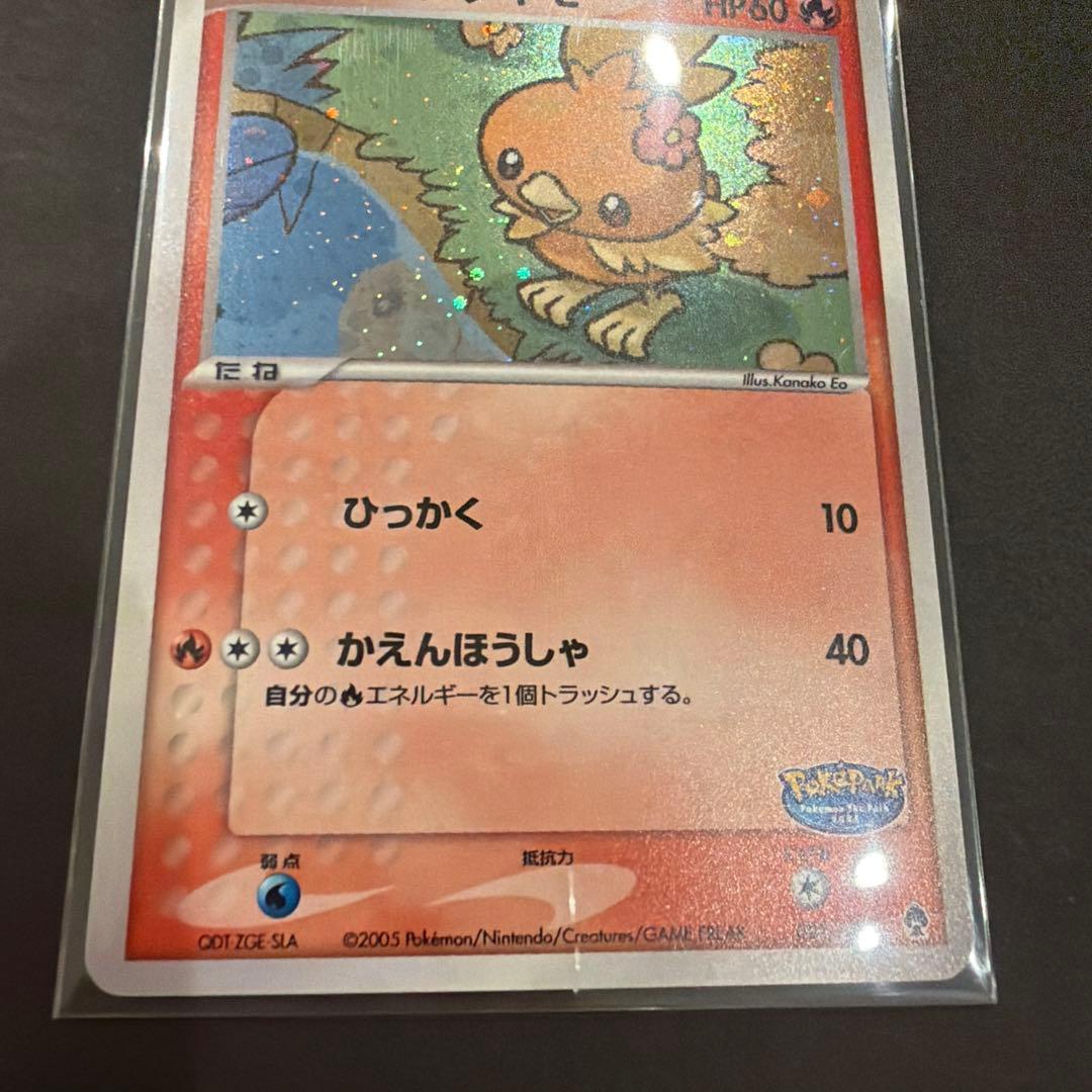 12/0496 ポケパークのアチャモ 002/009