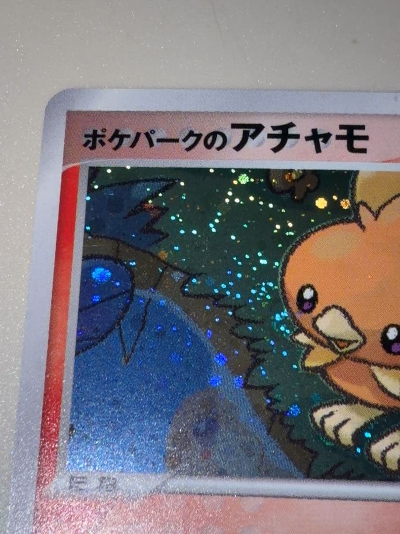 12/0496 ポケパークのアチャモ 002/009