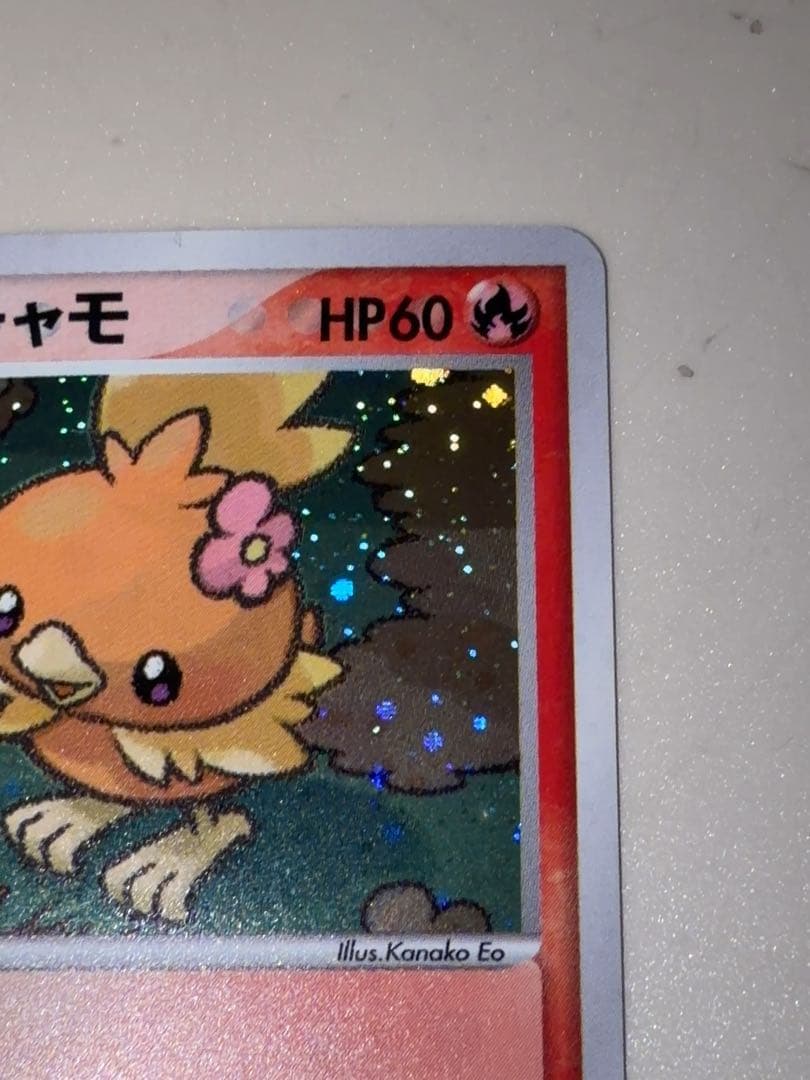 12/0496 ポケパークのアチャモ 002/009