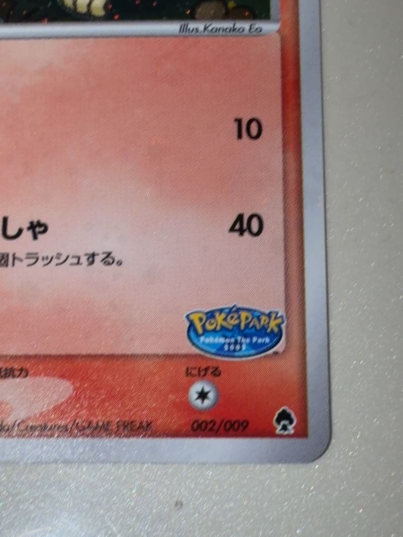 12/0496 ポケパークのアチャモ 002/009