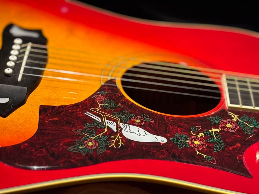 M*i様 Morris Dove Model WD-30 美品