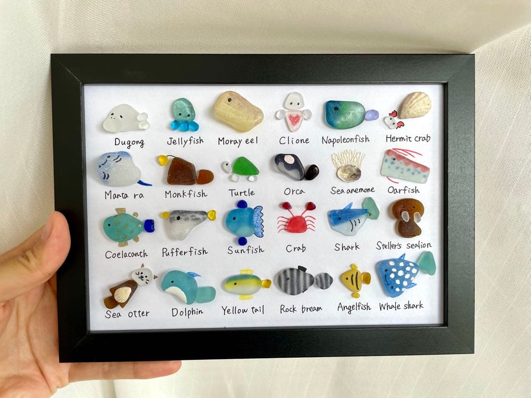 24種シーグラスアート☆No380 図鑑　海の生き物　父の日　ギフト　プレゼント