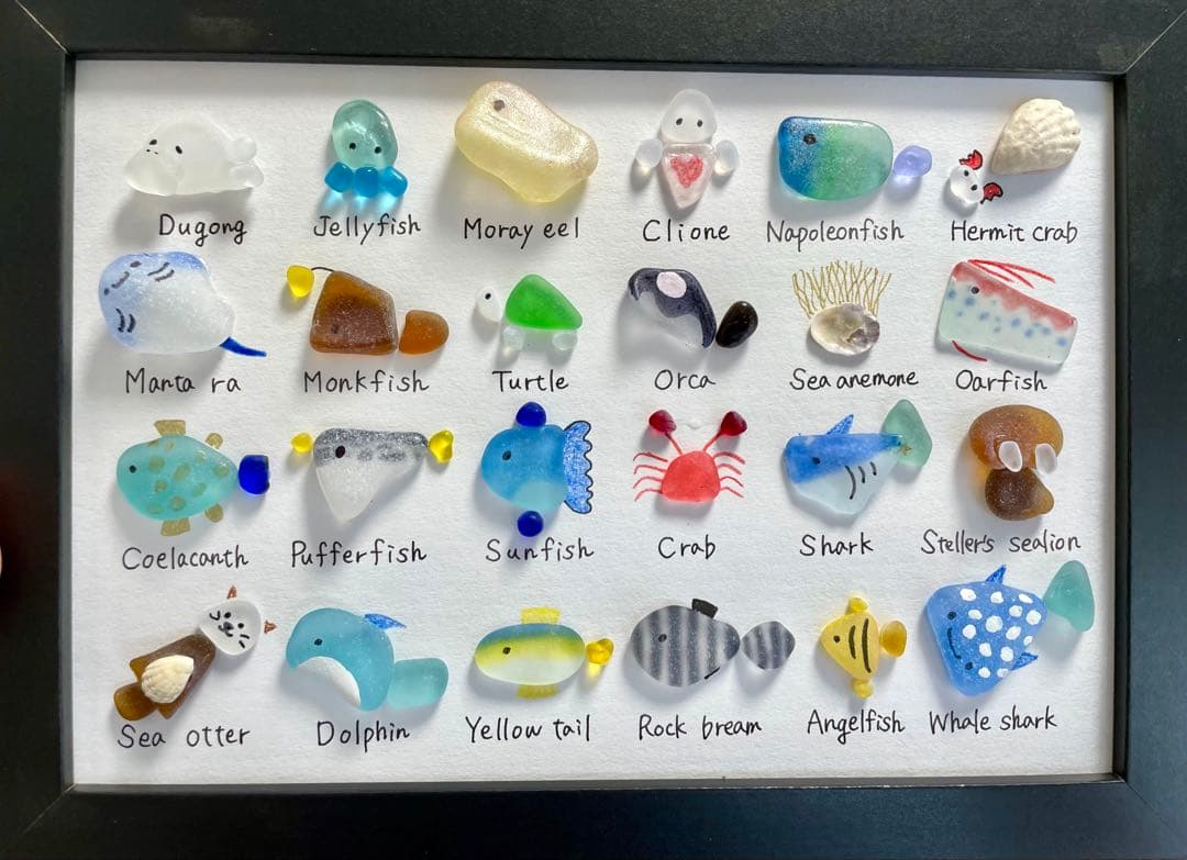 24種シーグラスアート☆No380 図鑑　海の生き物　父の日　ギフト　プレゼント