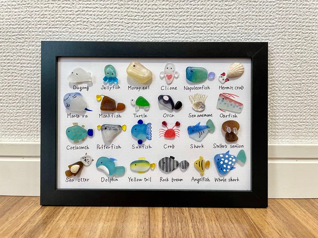 24種シーグラスアート☆No380 図鑑　海の生き物　父の日　ギフト　プレゼント
