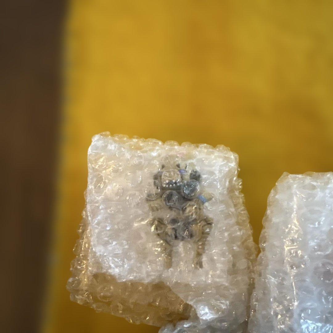 ジョジョ一番くじ　デスクトップマスコットコンプセット