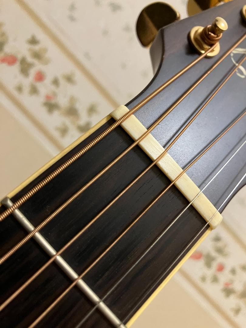 Takamine アコースティックギター ギグバッグ付　塗装浮きアリ