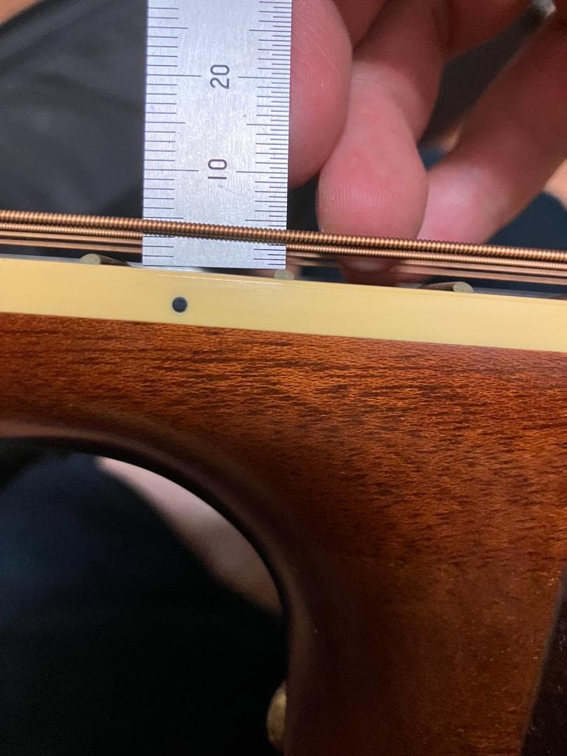 Takamine アコースティックギター ギグバッグ付　塗装浮きアリ