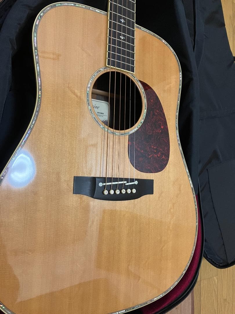 Takamine アコースティックギター ギグバッグ付　塗装浮きアリ