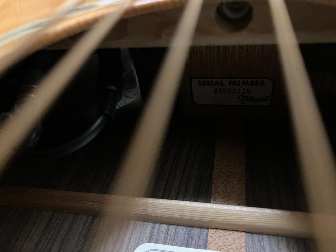 Takamine アコースティックギター ギグバッグ付　塗装浮きアリ