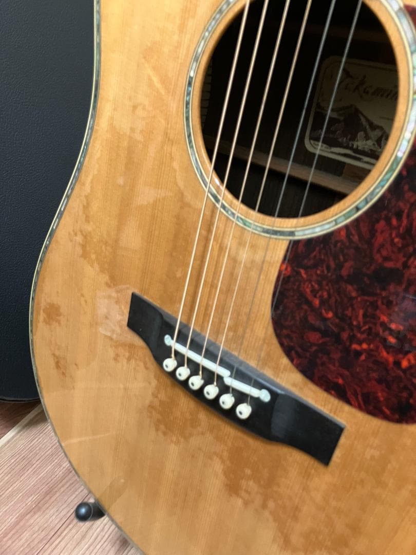 Takamine アコースティックギター ギグバッグ付　塗装浮きアリ