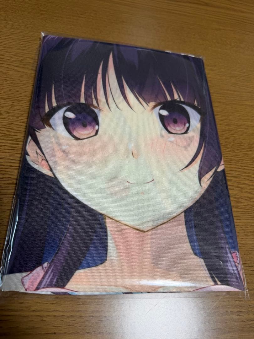 【ほぼ未開封品】　ソフマップ特典　抱き枕カバー　16点セット