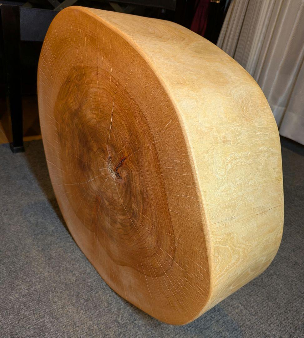 オールド　ウダイカンバ　切り株　輪切り　高さ約15㎝