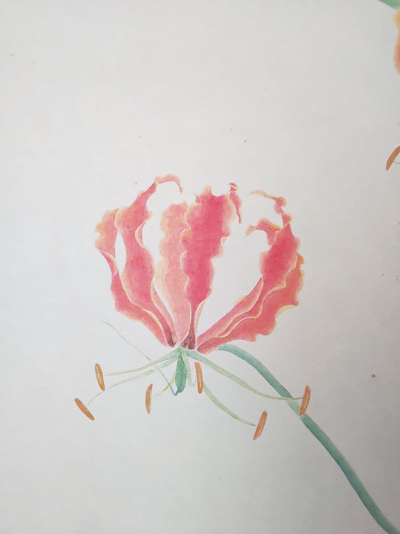 絵画 P6 グロリオサ gloriosa