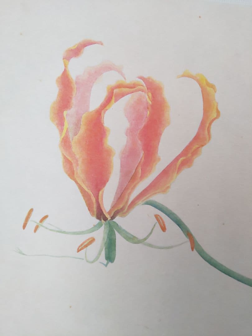 絵画 P6 グロリオサ gloriosa
