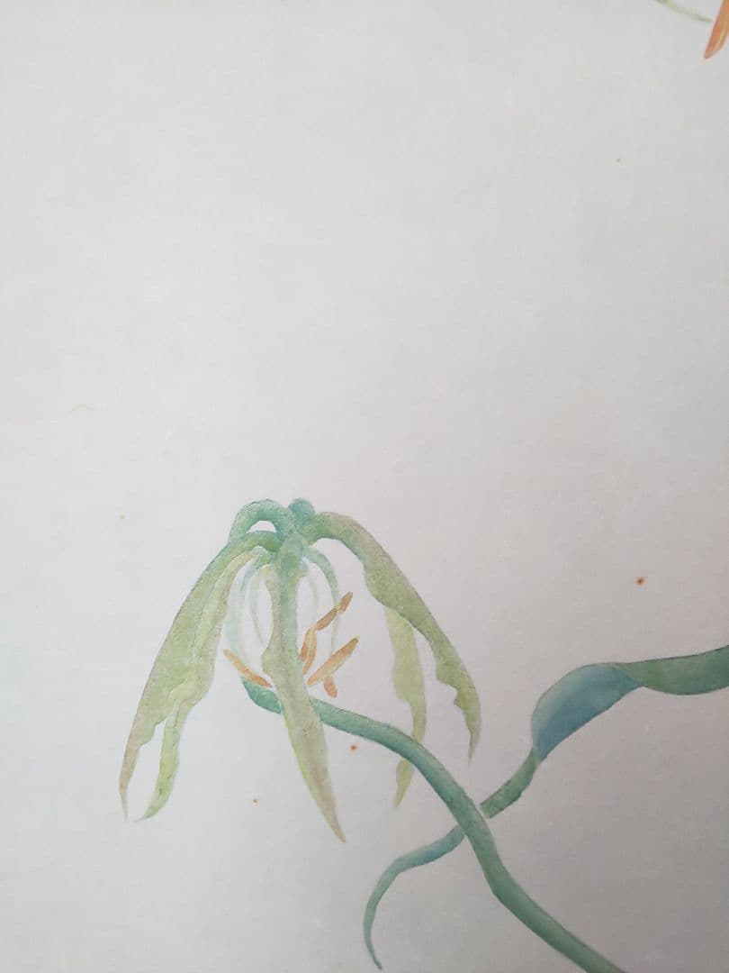 絵画 P6 グロリオサ gloriosa