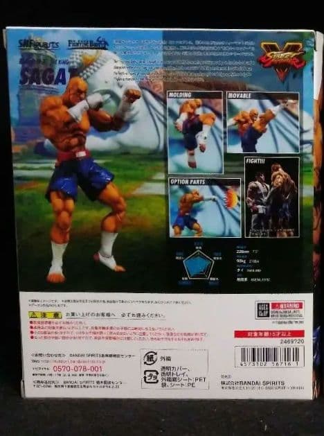 ストリートファイター サガット