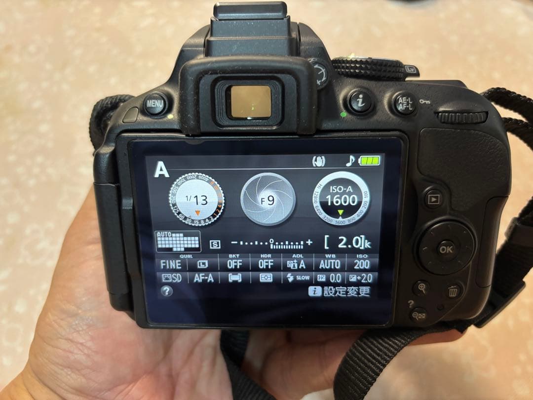 Nikon D5300 ダブルズームキット2 予備バッテリー2個付 ショット数少