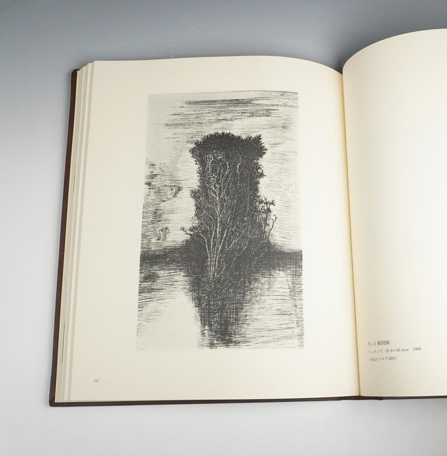 駒井哲郎版画作品集 限定A版 限定50部（皮装）