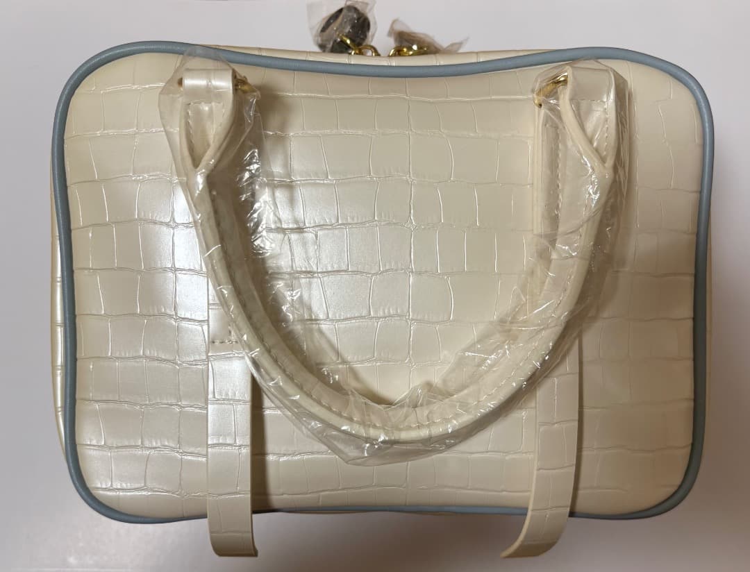 ときメモGS3 桜井琉夏 SuperGroupies バッグ