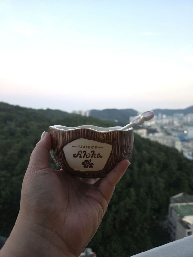 韓国スタバ★Aloha Coconut Bowl&Spoon Set 355ml