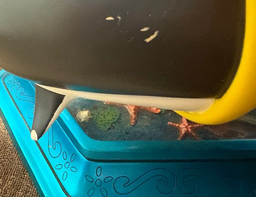 しらほし スタチュー　ガレージキッド　フィギュア　３５０体限定　特大　ワンピース