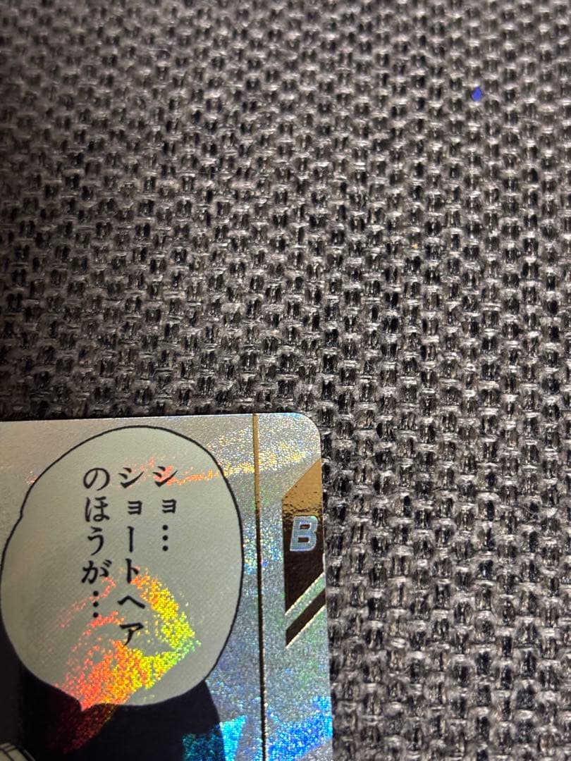 ビーデル APT-024 パラレル