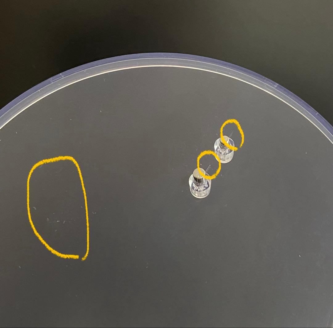 【開封済】ブルーアーカイブ　ヒナ　フィギュア　Bfull +おまけねんどろ付