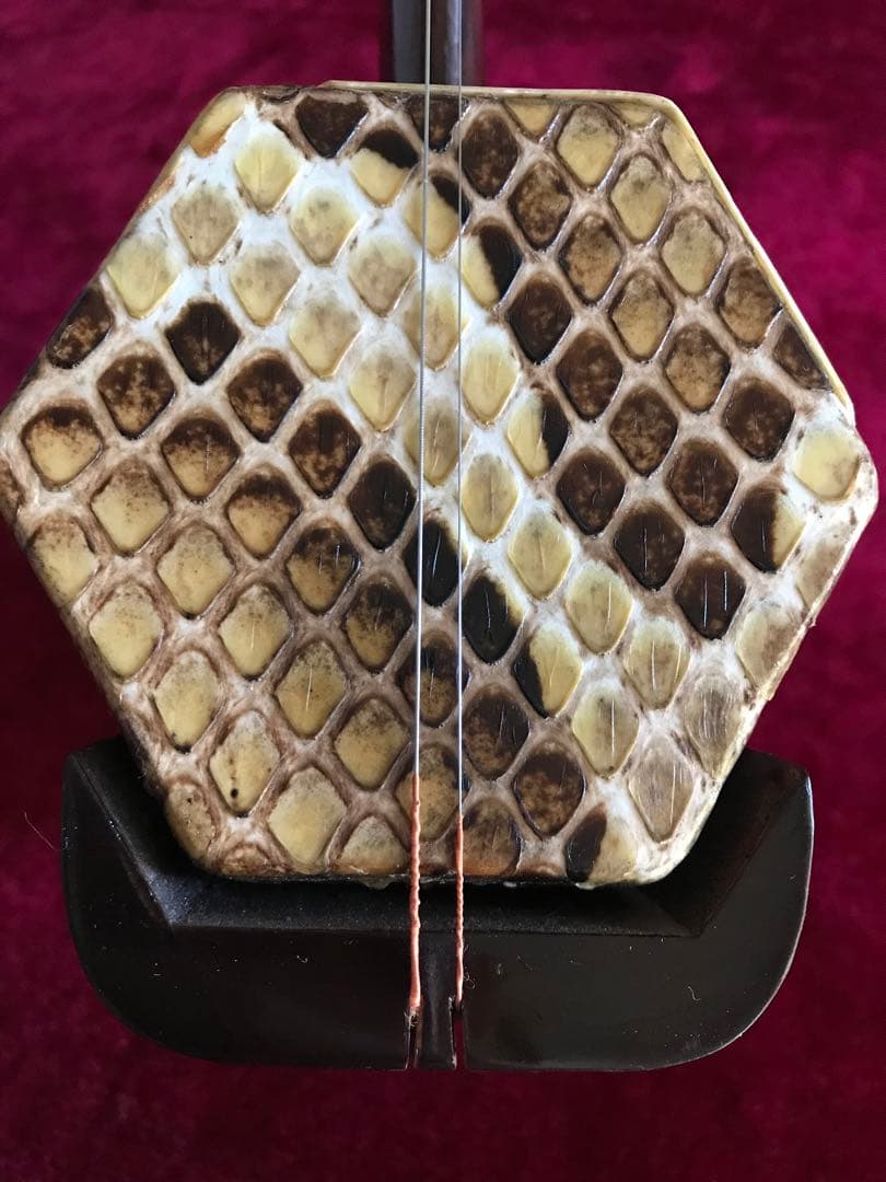 二胡★在庫処分・60%OFF★錦蛇皮★新中古品★必需品揃い★初心者にお勧め