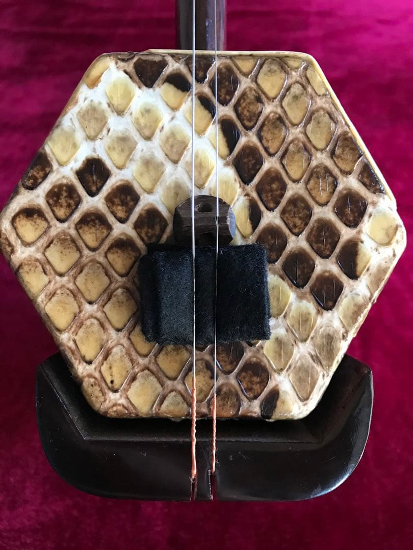 二胡★在庫処分・60%OFF★錦蛇皮★新中古品★必需品揃い★初心者にお勧め