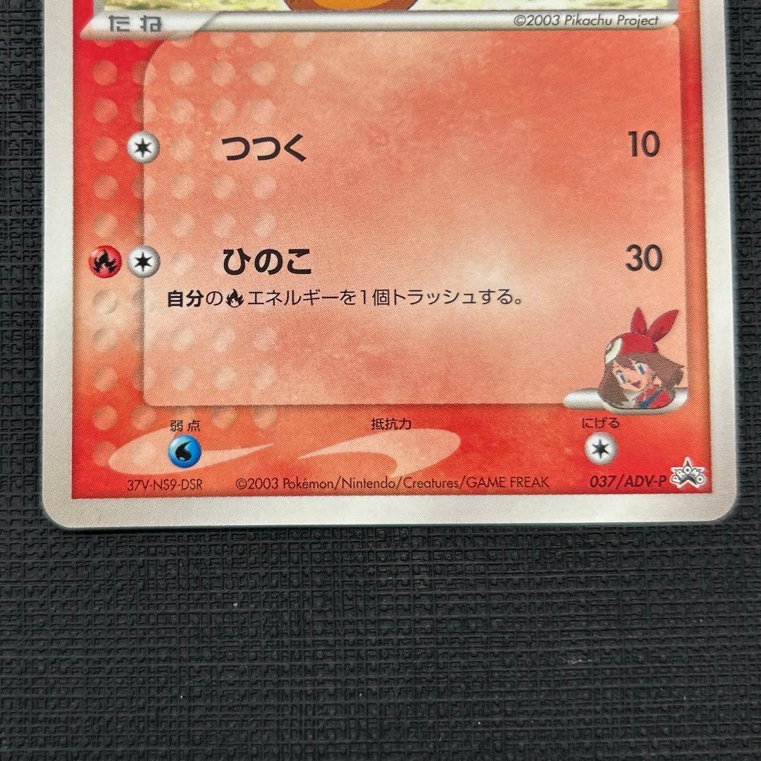 ハルカのアチャモ　タケシのミズゴロウ PROMO セット