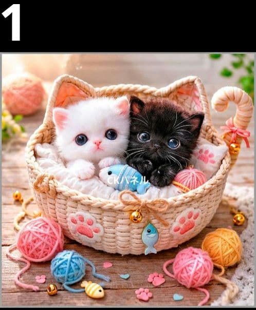 オーダーページ　ハンカチ496 にゃんこ柄　ハンドメイド2/27