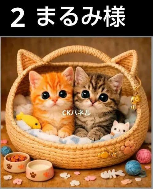 オーダーページ　ハンカチ496 にゃんこ柄　ハンドメイド2/27