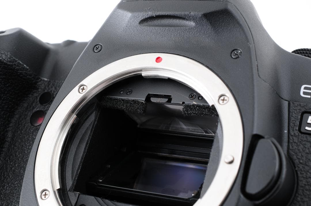 キャノン Canon EOS 5D Mark II BG-E6 ボディ #344