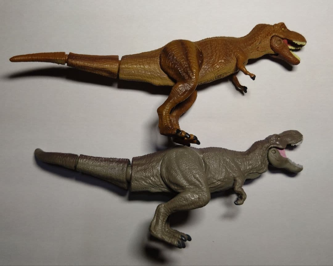 アニア　ティラノサウルス　その他　恐竜