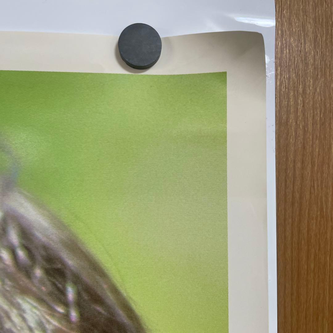 柏原芳恵　非売品　Ａ１ポスター 新品　29