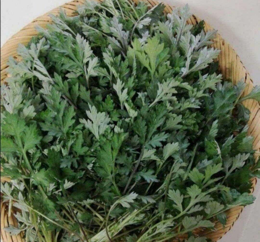 ヨモギバーム30g×4+蜜蝋バーム+ヨモギオイル×6