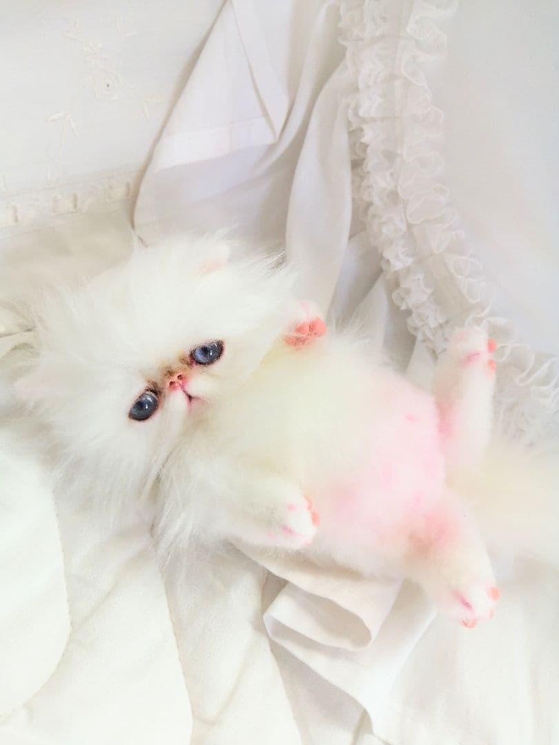 お腹ぽっこり♡エキゾチックベビー♡子猫ちゃん♡アートドール♡ぬいぐるみ♡