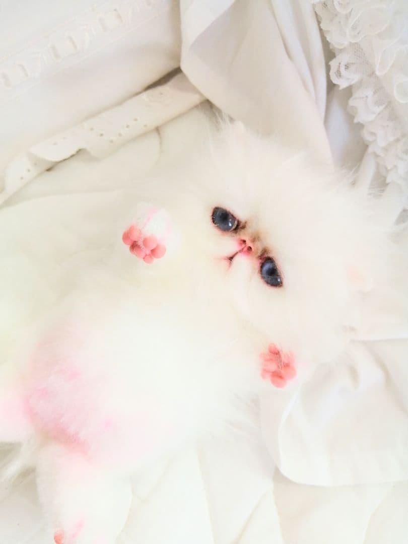 お腹ぽっこり♡エキゾチックベビー♡子猫ちゃん♡アートドール♡ぬいぐるみ♡